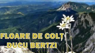 Ducu Bertzi - Floare de colţ