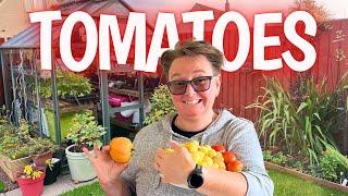 The EASIEST tomatoes you’ll ever grow!