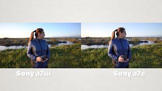 Sony a7iii vs Sony a7c Video Footage Comparison (Unexpected results)