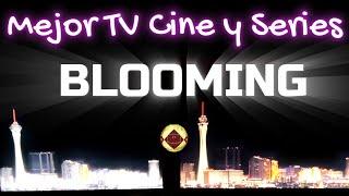 Cuál es la Mejor TV para Cine y series Comparativa Blooming Mini LED QLED TCL C845 vs Samsung QN90C