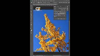 Tree Background remove In Photoshop | Photoshop Shorts Tricks