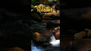 SOUND RIVER RELAXTATION #asmr #nature #sleepsounds #meditationsounds