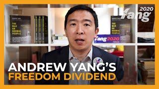Andrew Yang's 2019 Freedom Dividend