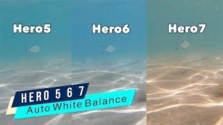 GoPro Hero5 Hero6 Hero7 Underwater Auto White Balance Comparison - GoPro Tip #644 | MicBergsma