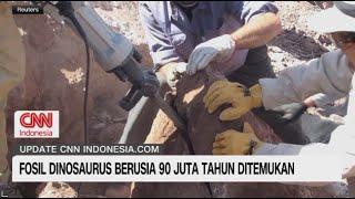 Fosil Dinosaurus Berusia 90 Juta Tahun Ditemukan