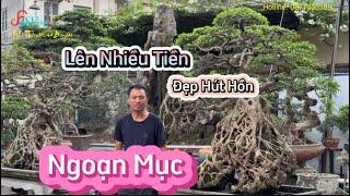 Quyết định quá đúng khi vẽ lại đôi Sanh Cổ của Ông Thọ nhiều người muốn mua không được