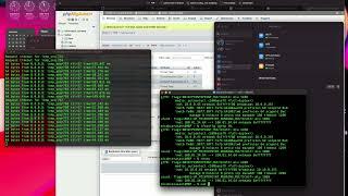 Dynamic VLAN assignment with RADIUS