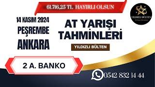 14 Kasım 2024 Perşembe ANKARA At Yarışı Tahminleri