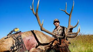 DECEPTION (An INSANE archery elk hunt)