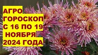 КАКИЕ ДЕЛА нужно обязательно сделать с 16 по19 ноября 2024 года?