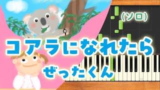 新曲！みんなのうた『コアラになれたら』／ぜったくん【ピアノソロ】