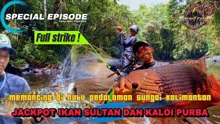 CASTING IKAN MASHER JEKPOT KALOI PURBA BORNEO !