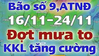 Dự báo thời tiết mới nhất ngày mai 16/11/2024 | thời tiết 7 ngày tới | tin bão