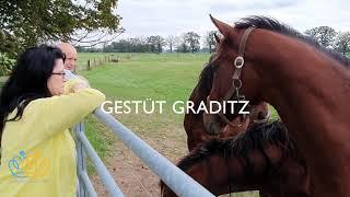 LebenslustTV - Das Hauptgestüt Graditz  - Interview mit dem GF  Matthias Tandler