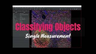 QuPath: Classifying Objects [Single Measurement]