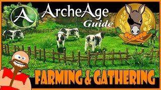 ArcheAge guide - Farming and gathering tutorial