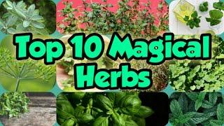 TOP 10 MAGICAL HERBS | MEDICINAL HERBS