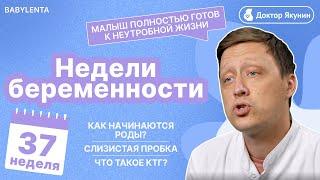 37 неделя Беременности  - как начинаются Роды? Все отвечты от доктора #беременность #недели