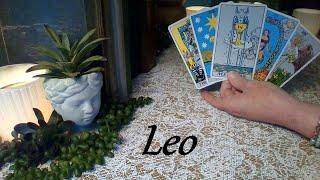 Leo June 2024  CROSSRADS! The Reality Where All Your Dreams Come True! LOVE & CAREER #Tarot