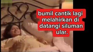 Review film: bumil cantik lagi melahirkan di datangi siluman ular.