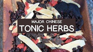 Major Chinese Tonic Herbs - List of Top 10