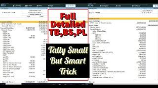 Detailed Trail Balance, Balance Sheet, Profit and Loss|49th Tally Small but Smart Trick @LearnWell