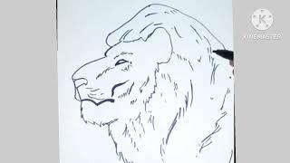 Lion drawing | drawing banane ka tarika | SkS artist