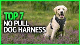 Best No Pull Dog Harness 2024 | Top 7 No Pull Dog Harness Review