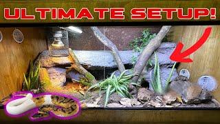 HOW TO SET UP A BALL PYTHON ENCLOSURE