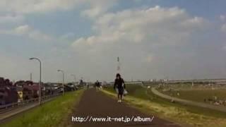 江戸川のサイクリングコース 5