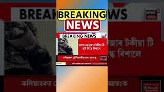 ২লাখ ৯৫হাজাৰ টকীয়া টি ছাৰ্ট পিন্ধে Bishal Phukan য়ে | Assamese News #shorts 06/09/24