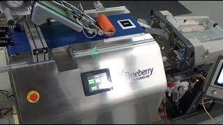 Pineberry Labeler and Bagger Solution