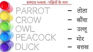 Birds name in hindi and english || पक्षियों के नाम || Birds Name || study centre