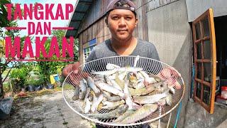 Tunaikan Permintaan Isteri Cari Ikan Fresh Buat lauk