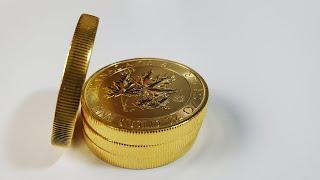 Thickest Gold Coin I Stack-Mega Leaf!