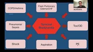 Terminal Bradycardia