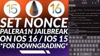 Set Nonce with Palera1n Jailbreak iOS 16/iOS 15 to downgrade to unsigned iOS | Palera1n Set Nonce