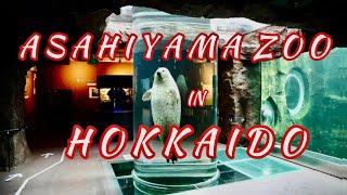 JAPAN TRAVEL GUIDE / ASAHIYAMA ZOO IN HOKKAIDO JAPAN   /Winter In Hokkaido ️