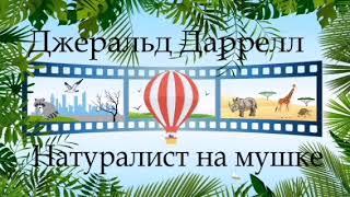 Джеральд Даррелл - Натуралист на мушке