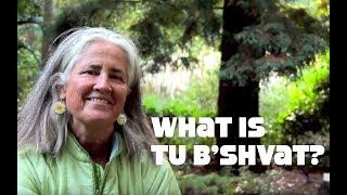 What is Tu B'shevat? The Jewish Tree Holiday