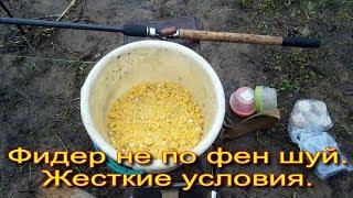 Фидерная ловля не по фен шуй,в жестких условиях.