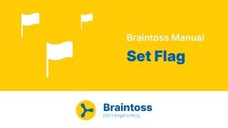 Braintoss Manual - Set Flag