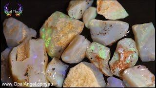 Andamooka Crystal Opal Rough Parcel 160ct