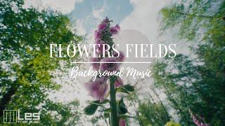 Flowers Fields : Solo Piano Sentimental Peaceful Background Music