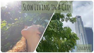 Slow Living In Singapore | A Peaceful Sardine