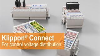 Klippon® Connect for control voltage distribution – Safe wiring for consumers in the panel