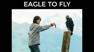 The boy teaches eagle to fly...