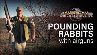 Pounding Rabbits with a .22 Cal AIRGUN