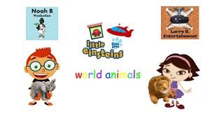 Little Einsteins Blues Clues World Animals DVD