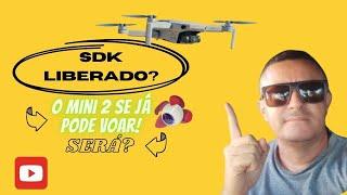 ATENÇÃO: a dji liberou SDK para o Mini 2 SE?